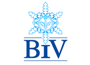 BiV BiV